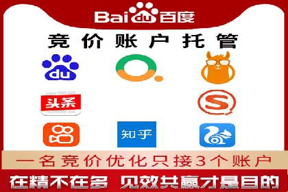 SEM竞价托管实战案例解析